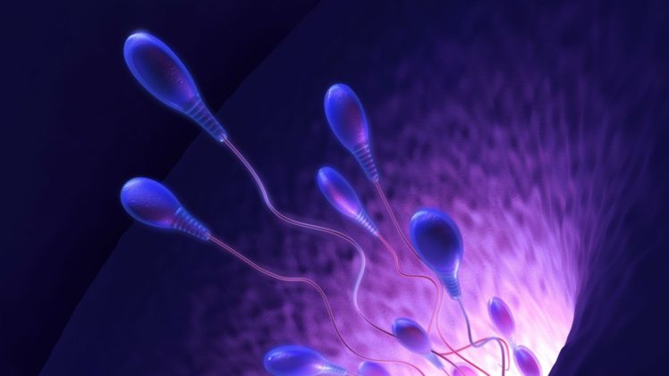 Stunning Concept Of Fertility In 3d Illustration Background, Fertility,  Ovulation, Hd Background Image And Wallpaper for Free Download